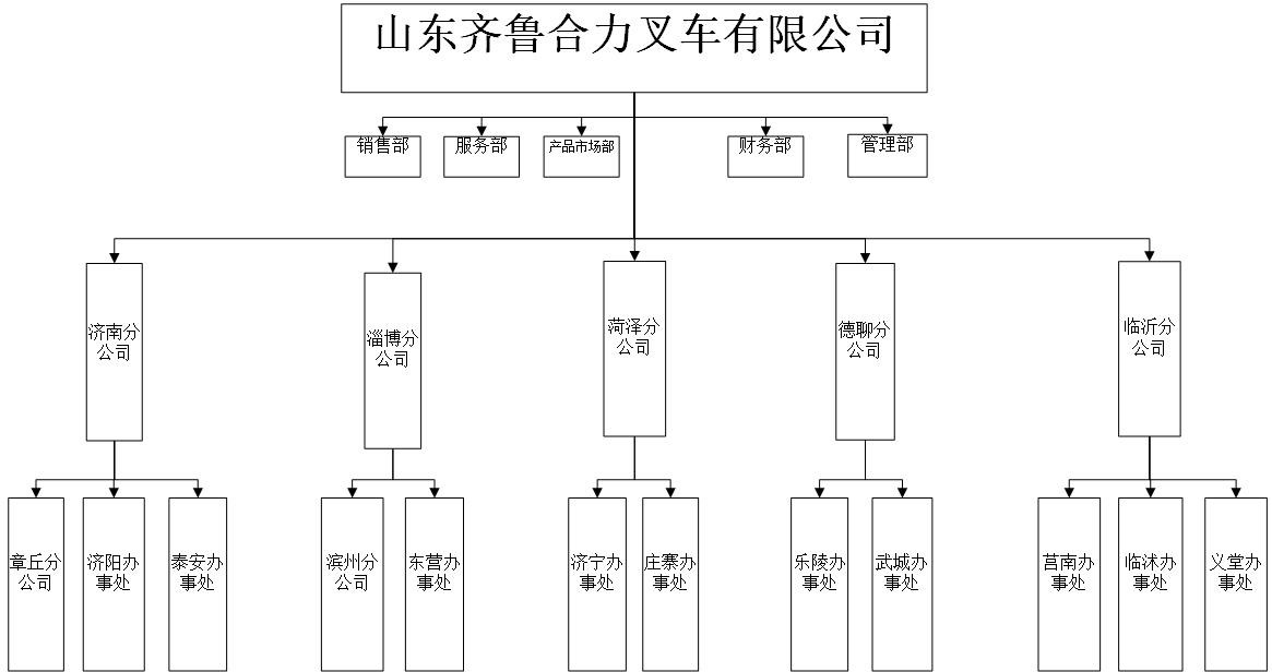 齐鲁Z6人生就是博组织机构图.jpg